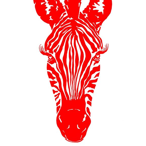 Vibrant Zebra Poster Pink, Red, Blue, Green/ Galantine or Valentine décor, 11x17 - Picture 7 of 13